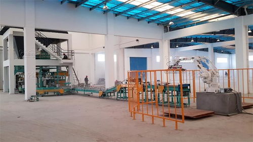 提升效率與品質(zhì) 贛榆全自動花生米包裝機(jī)與無錫麥杰機(jī)械工程的推薦與應(yīng)用